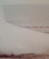Second Hand Brautkleid Morilee / Madeline Gardner Prinzessin Gr. 46 Foto 4