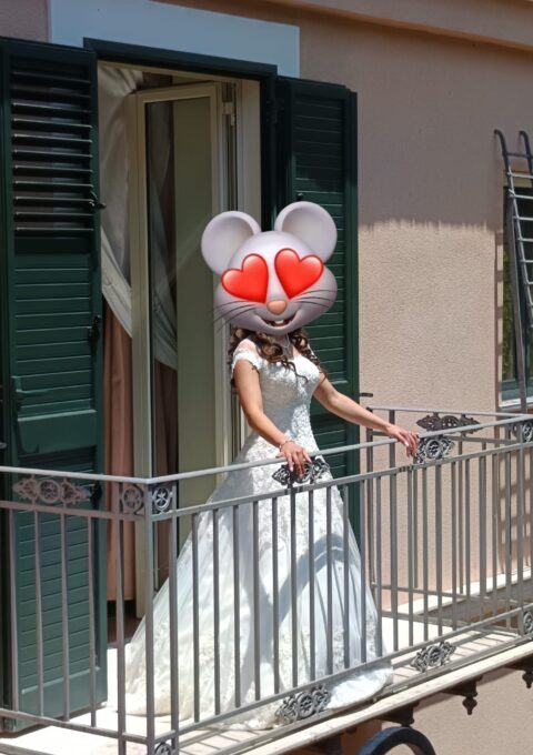 Second Hand Brautkleid White House Herstellung Trkei Cizim Model Yurtdisi Renk A-Linie Gr. 34 Foto 1