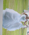Second Hand Brautkleid St. Patrick / Pronovias R1326002.563.42 A-Linie Gr. 38 Foto 4