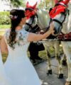 Second Hand Brautkleid V7061 Prinzessin Gr. 38 Foto 2